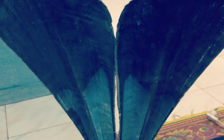 Kulit Tiram Pengikat Kenangan